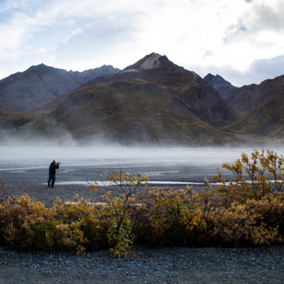 Embark on a fully narrated roundtrip bus tour into Denali National Park with a turnaround point at the famous Stony Hill Overlook. Embark on a fully narrated roundtrip bus tour into Denali National Park with a turnaround point at the famous Stony Hill Overlook.