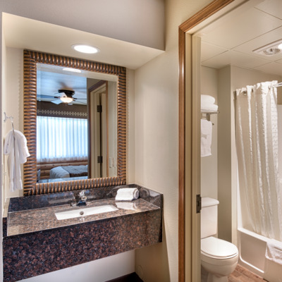 Standard bathroom at Denali Princess. Standard bathroom at Denali Princess.