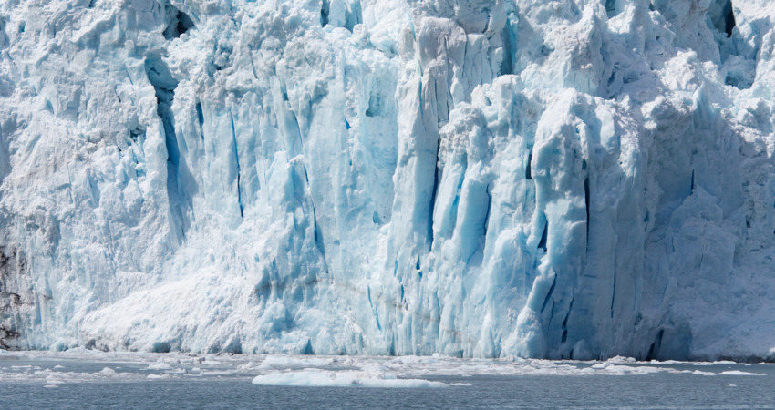 Tidewater glaciers expand throughout fjords and end in the ocean.