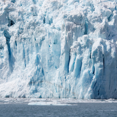Tidewater glaciers expand throughout fjords and end in the ocean.