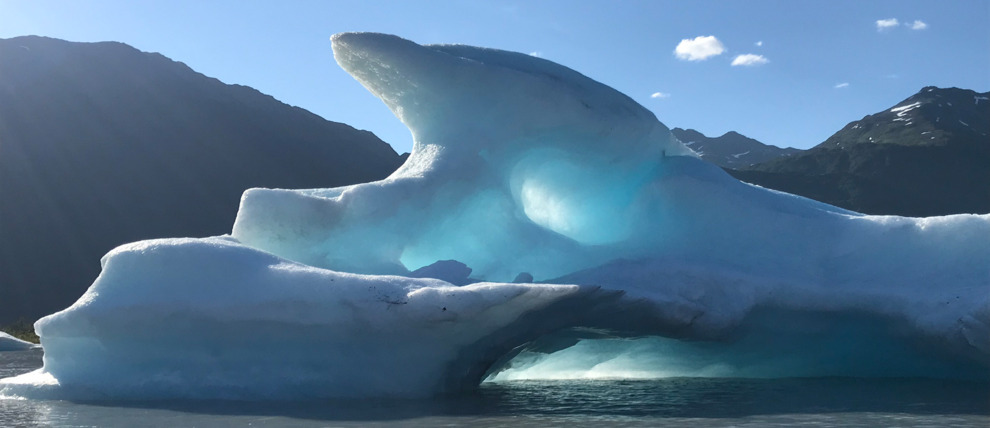 View icebergs from the water on a Spencer Glacier kayak trip. View icebergs from the water on a Spencer Glacier kayak trip.