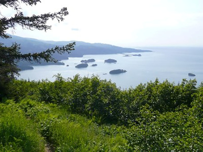 Take a hike and enjoy great views of Kachemak Bay.