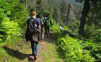 Homer hike with a knowledgeable guide.