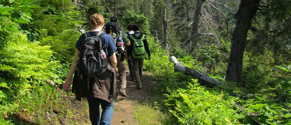 Homer hike with a knowledgeable guide. Homer hike with a knowledgeable guide.