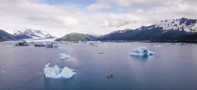 Kayak among icebergs near Bear Glacier.