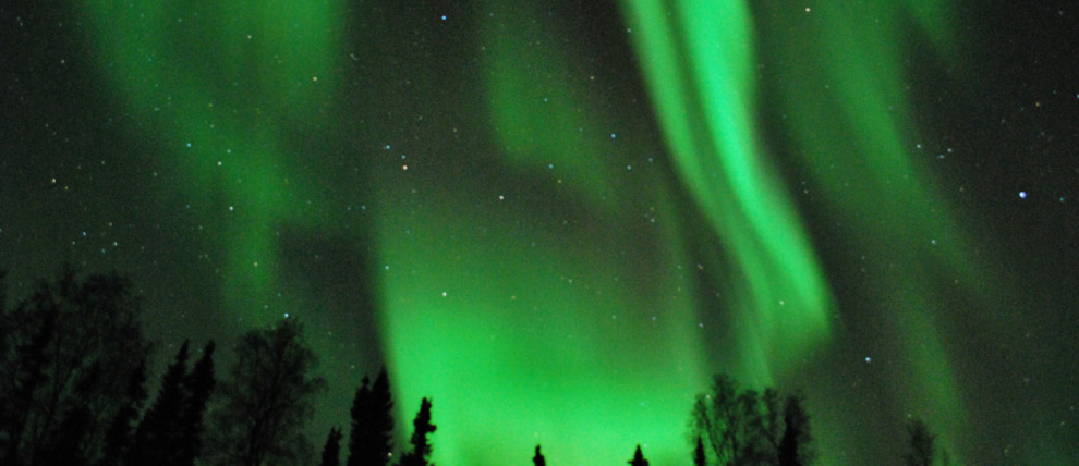 Green Star of Interior Alaska, Fairbanks AK