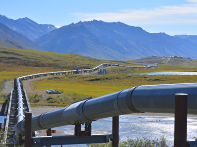 Trans-Alaska Pipeline, which runs 800 miles from Prudhoe Bay to Valdez.