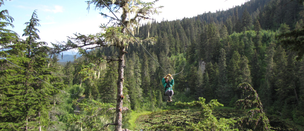 Enjoy stunning views as you zipline through the Seward forest.