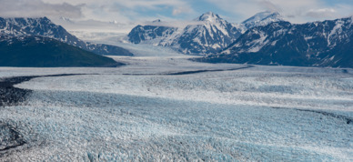 Take in spectacular views of Knik glacier from the air.