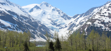 Scenery found in Bear Valley from the Glacier Discovery train.