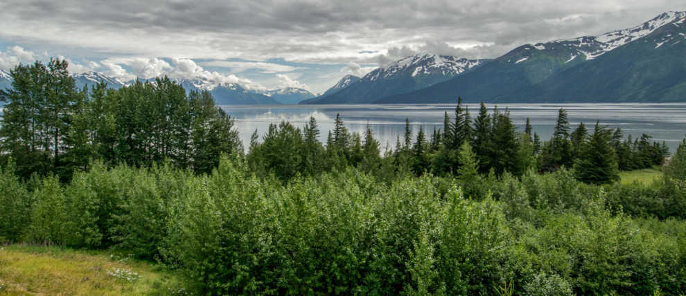 View of Turnagain Arm from the train. 