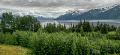 View of Turnagain Arm from the train.