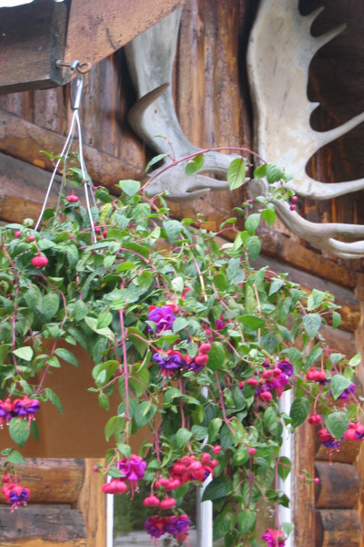 Fly to a fishing lodge to begin your adventure.