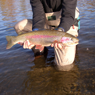 Fish from a boat for king and silver salmon or feisty trout.