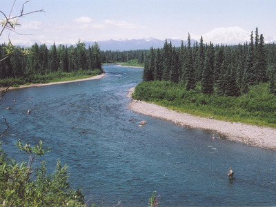 Enjoy spectacular views from your fly-in fishing trip.