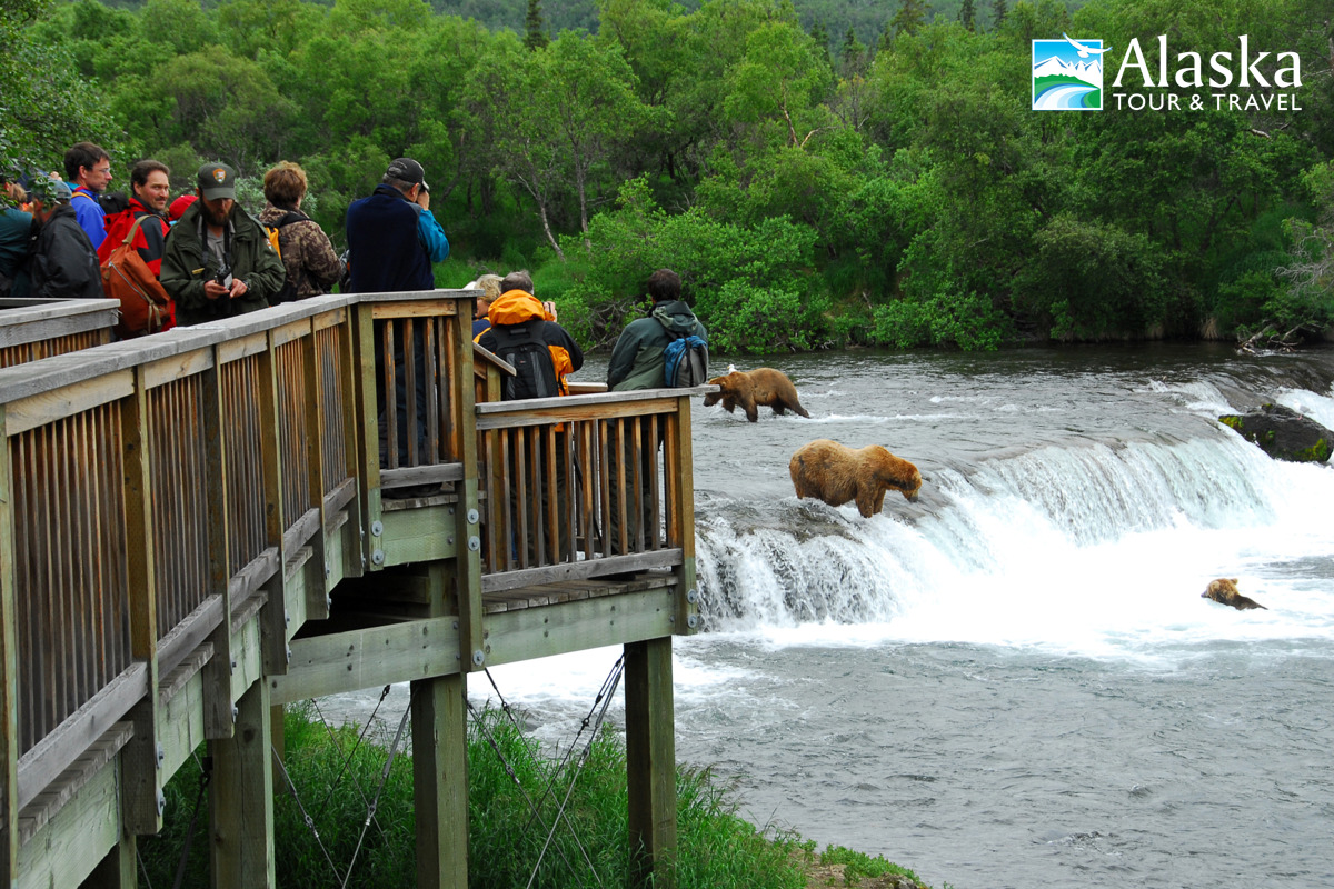 katmai national park bear tours