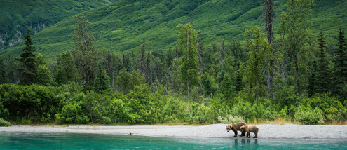 Bear Viewing Flight Lake Clark National Park from Anchorage ...