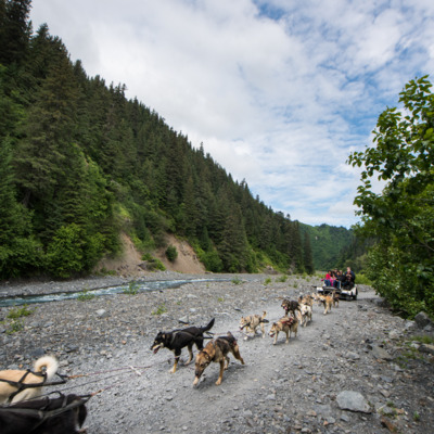 Enjoy a creekside dog sled ride. Enjoy a creekside dog sled ride.