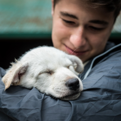 Interact with sled dog puppies in Seward. Interact with sled dog puppies in Seward.