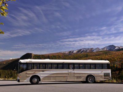 Experience a full-day narrated bus tour to see wildlife and big landscapes. Experience a full-day narrated bus tour to see wildlife and big landscapes.
