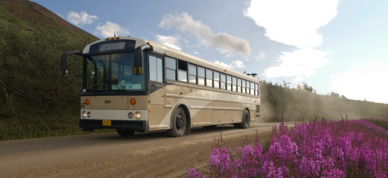 Experience a full-day narrated bus tour to see wildlife and big landscapes.