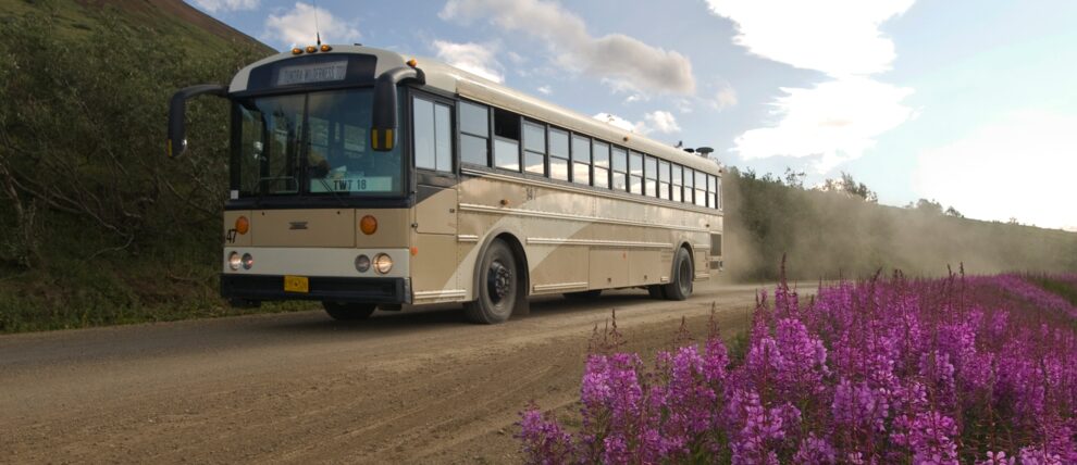 Experience a full-day narrated bus tour to see wildlife and big landscapes.