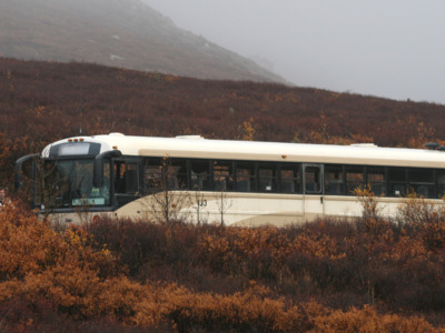 Tundra Wilderness Tour in the autumn.