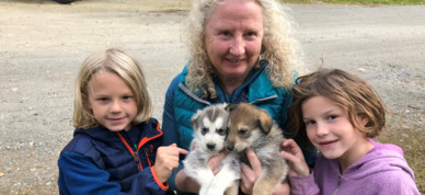 Visit an authentic working sled dog kennel!