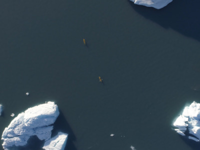 Aerial view of Bear Glacier icebergs. Aerial view of Bear Glacier icebergs.