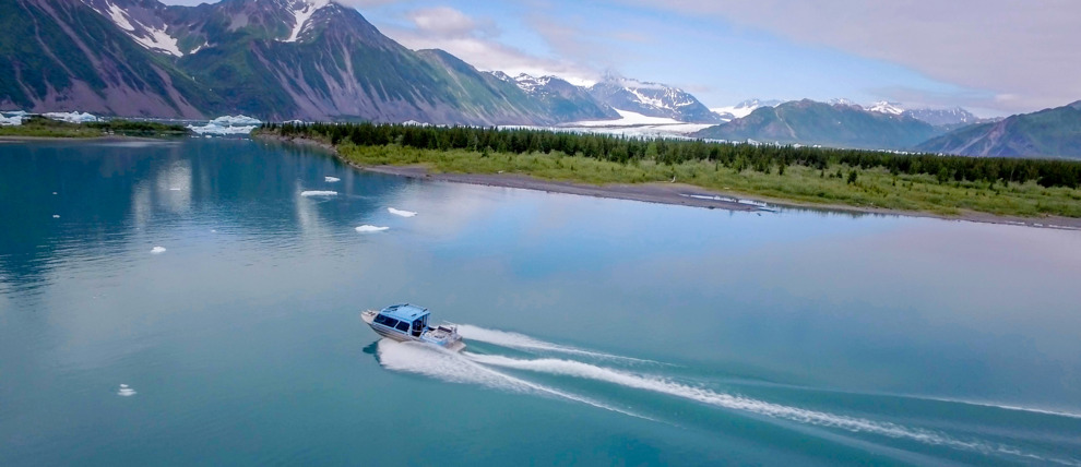 Boat on its way to Bear Glacier.