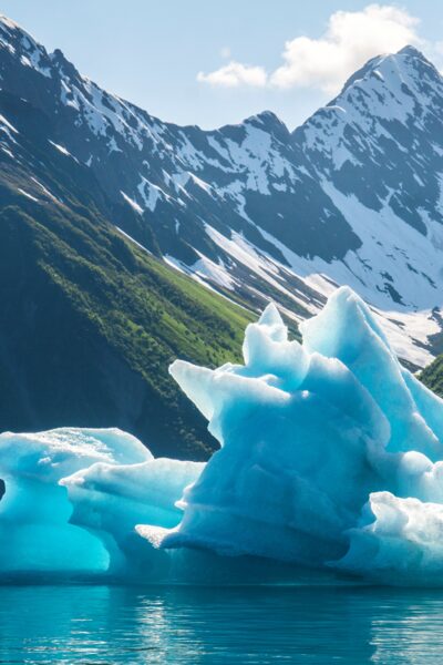 Extraordinary icebergs calved from Bear Glacier.