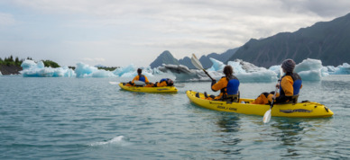 Massive icebergs sit among Bear Glacier lagoon.