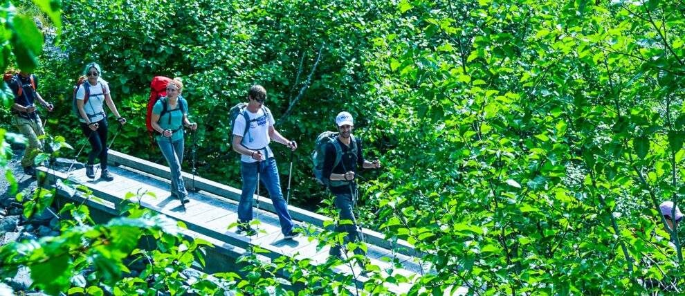 Guests beginning the hike up to Exit Glacier. Guests beginning the hike up to Exit Glacier.