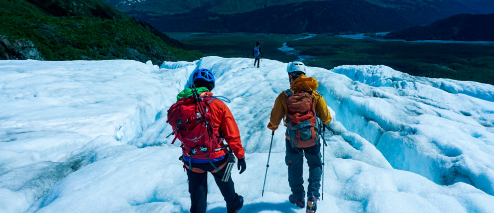 Enjoy spectacular views from Exit glacier.