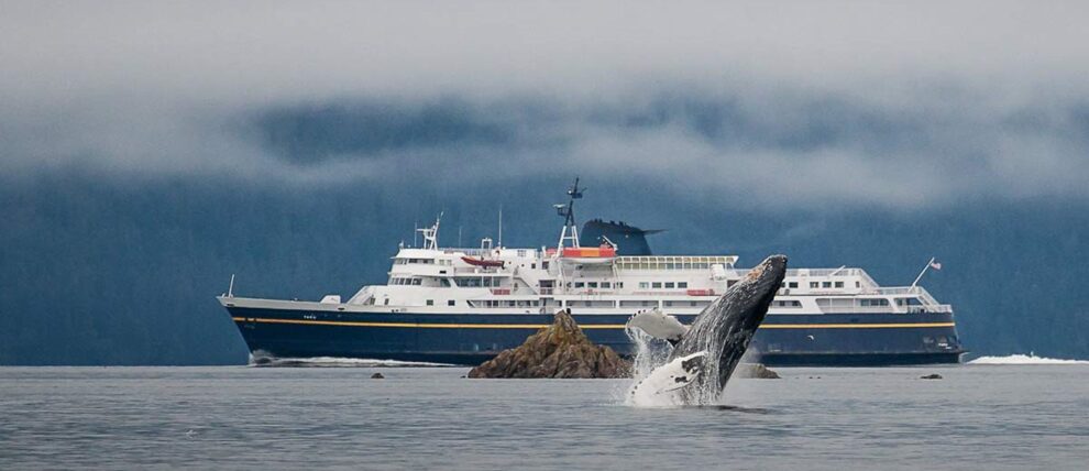 Whale breaching in front of Alaska State Ferry. 