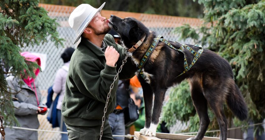 Sled dog kisses for a favorite Denali ranger.