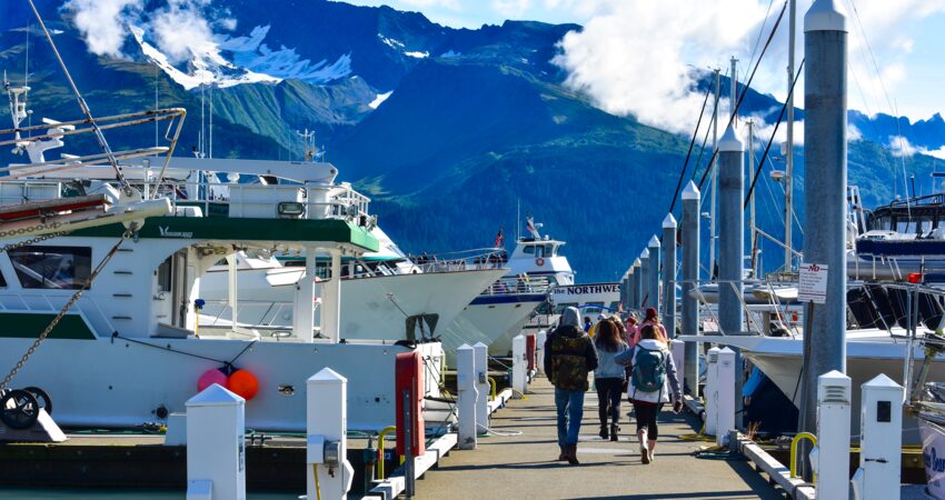 Day cruise ships in Seward's Small Boat Harbor.