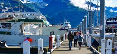 Day cruise ships in Seward's Small Boat Harbor.