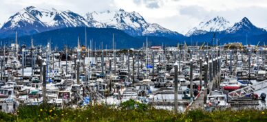 Mountains of Kachemak Bay State Park beyond the Homer harbor.
