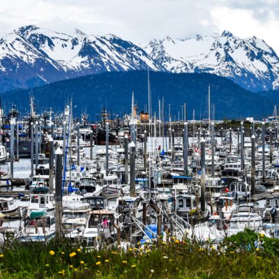 Mountains of Kachemak Bay State Park beyond the Homer harbor.