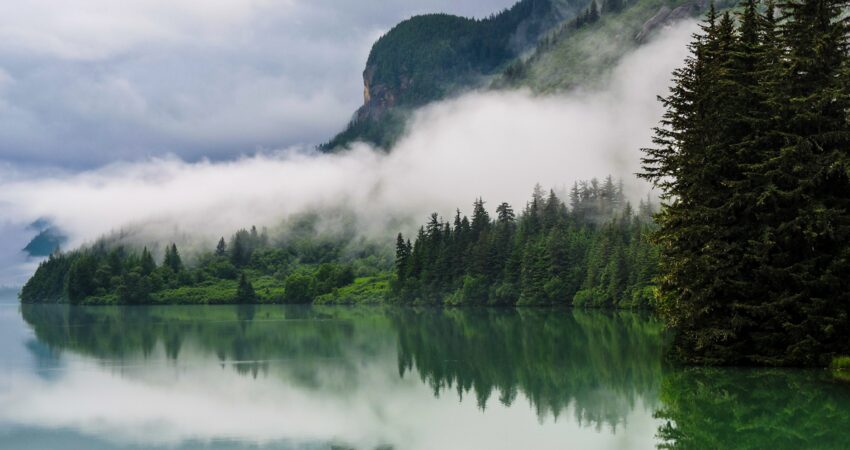 Mist and fog make for a photogenic morning in Resurrection Bay.