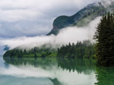 See the beauty of Resurrection Bay by both land and water.