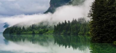 Mist and fog make for a photogenic morning in Resurrection Bay.