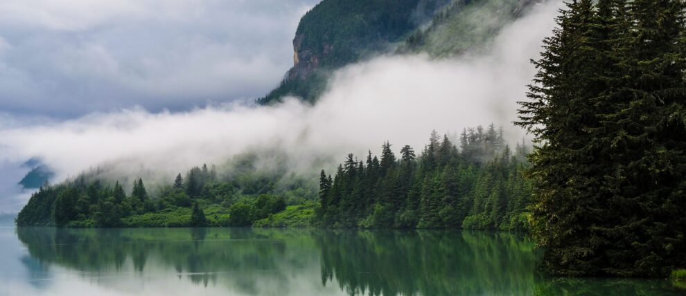 Mist and fog make for a photogenic morning in Resurrection Bay.