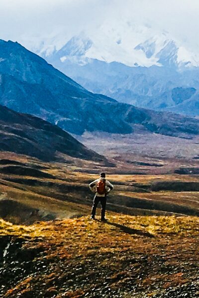 Miles and miles of wilderness in Denali National Park.