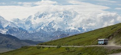 Epic views of Denali's north face on the Denali Backcountry Adventure tour.