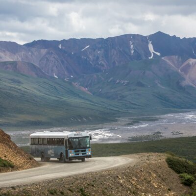 Winding Denali Park Road after the Toklat rest stop.