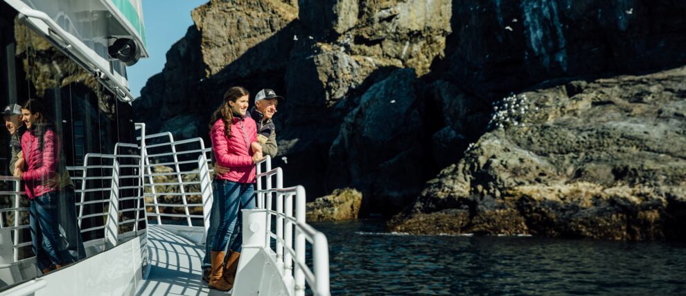 Up close views of seabird colonies on the way to Kenai Fjords.