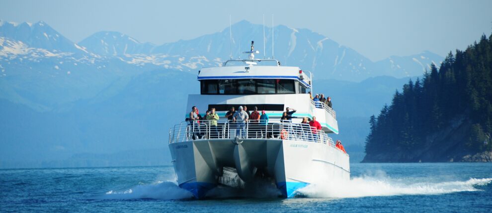 resurrection bay cruise seward