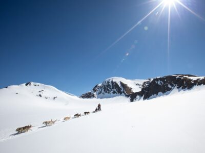Riding with sled dogs on a glacier near Girdwood, Alaska.